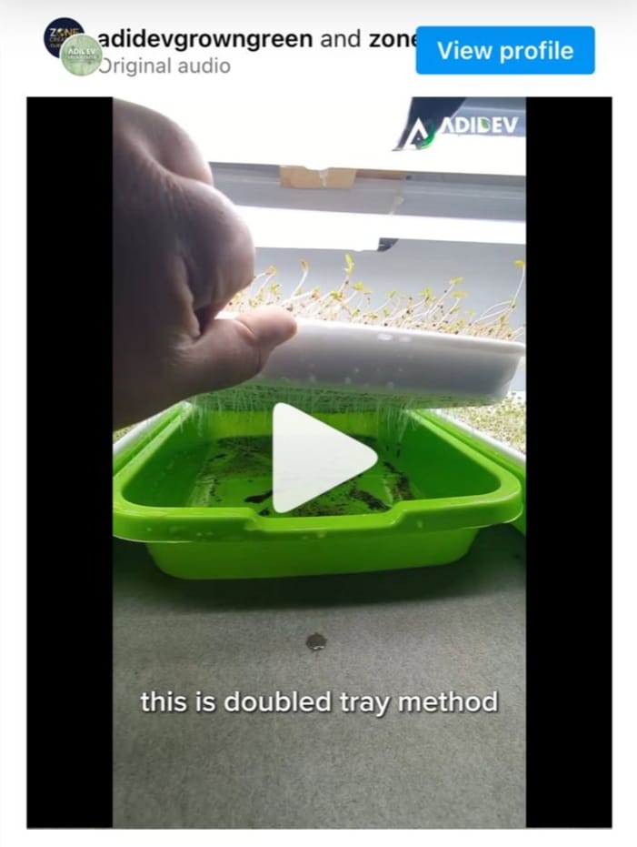 Halal Profit Explained